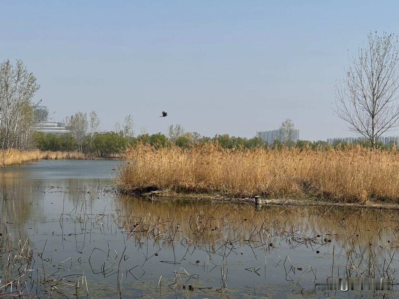 【小对联】
上：废水；
下：……？