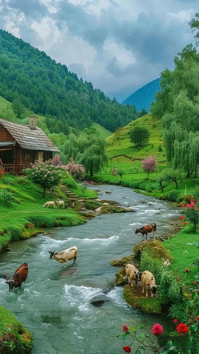 #秋日生活打卡季##秋日的美景。# #分享图片景色# #晒晒美景图片# #分享秋