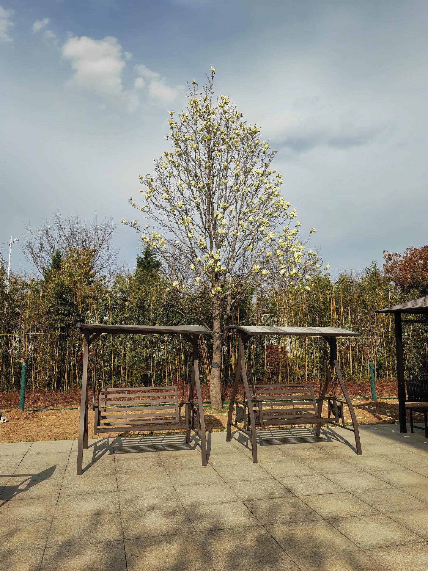 春日氛围感 静谧角落 慢生活记录 自然之美 户外休闲