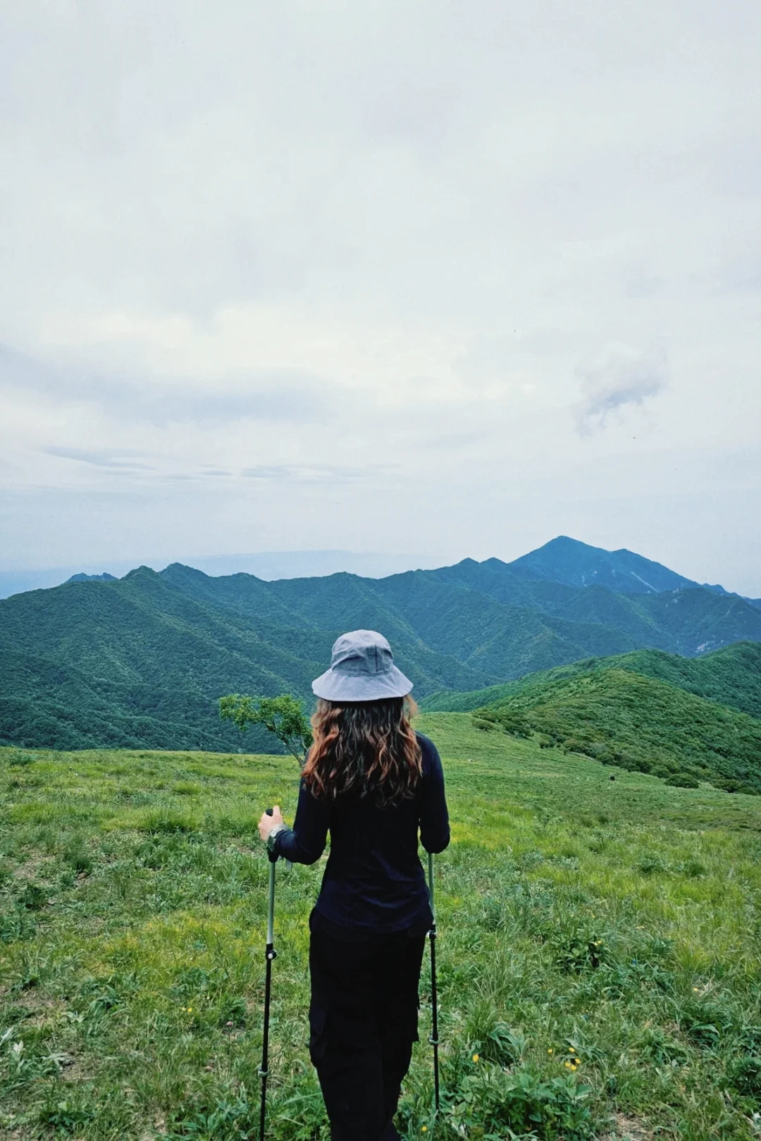 放弃麻田岭，天津周边周三一起徒步黄花梁
