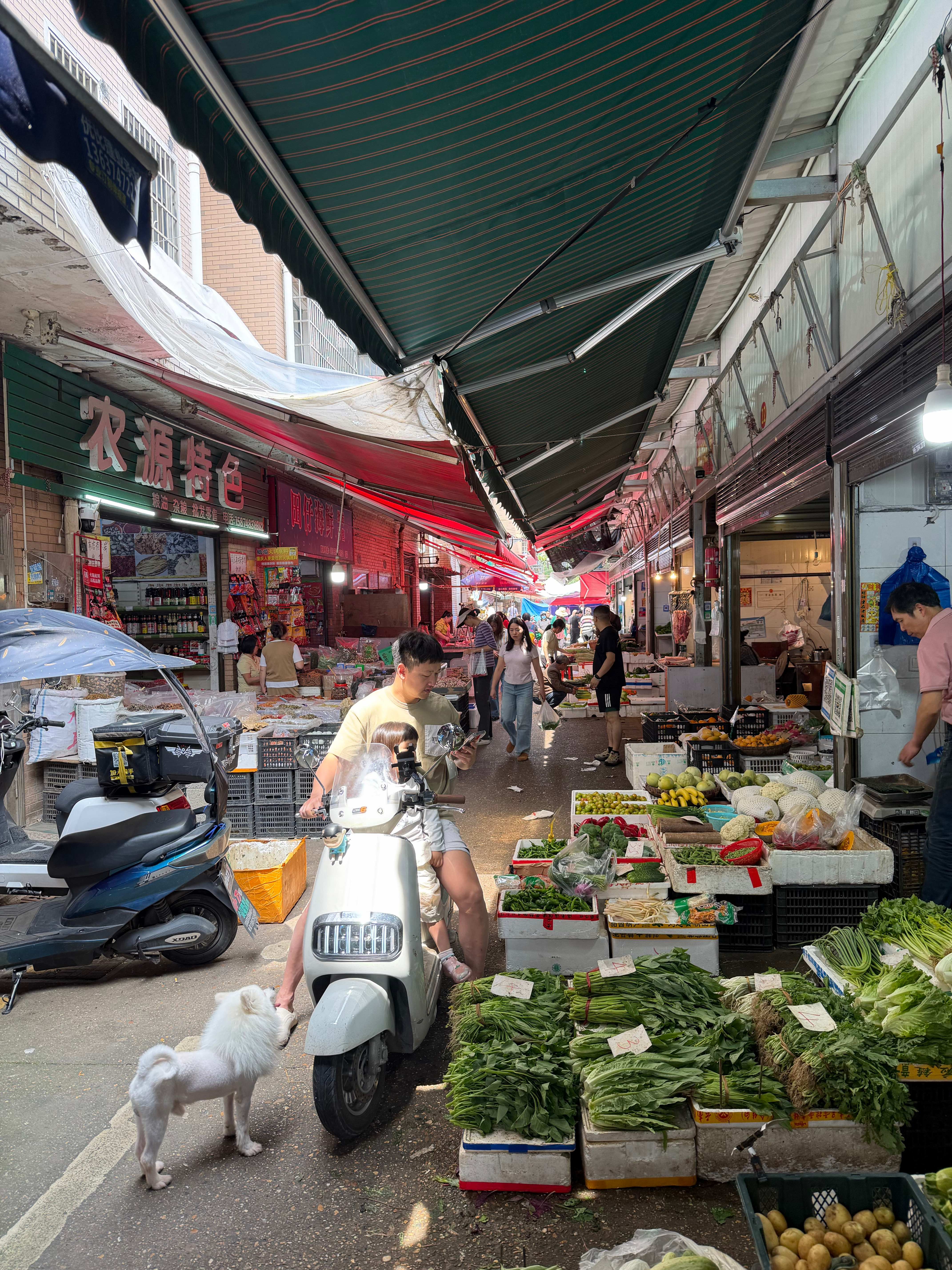 刚去了趟菜市场，发觉生意还蛮红火的，我还以为各大卖菜平台出现后会对菜市场产生冲击