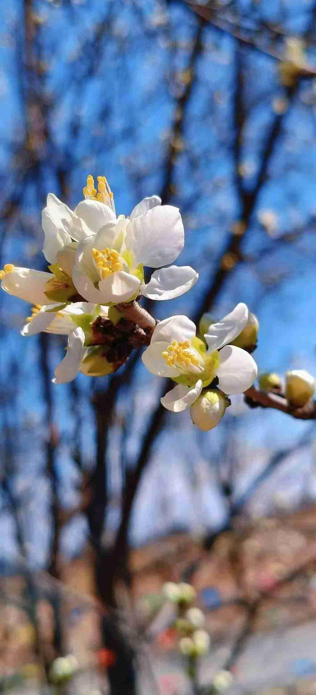我的今日状态：😁轻松愉快
我这里的天气：☀️晴天