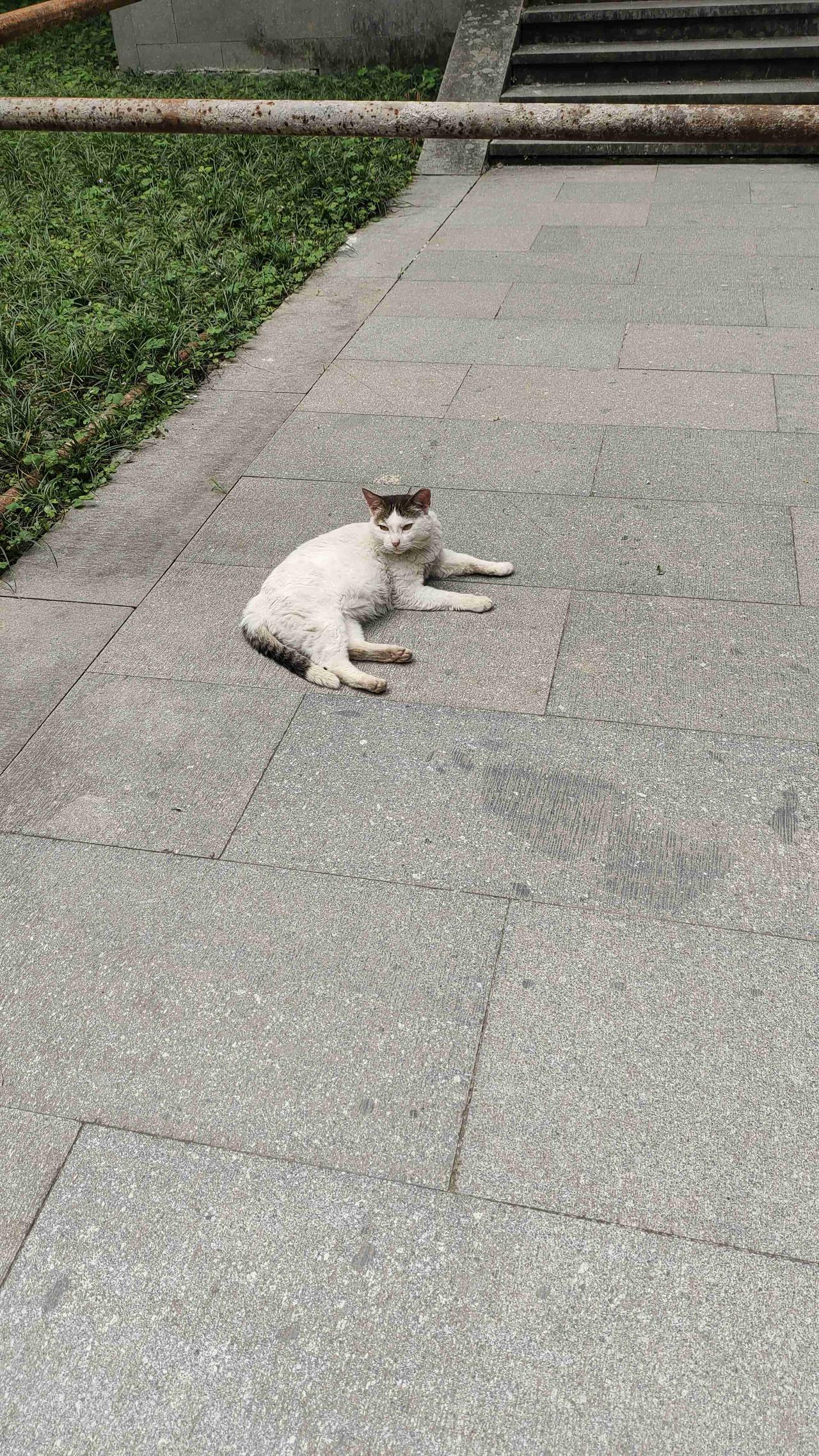 我的今日状态：😁轻松愉快
我这里的天气：🌤️多云