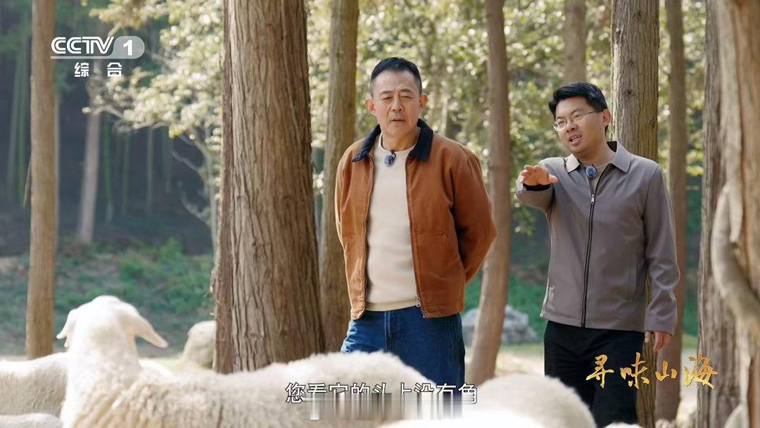 湖羊尾巴duangduang的湖羊的尾巴是天然暖宝宝 谁家小羊尾巴自带弹簧特效？