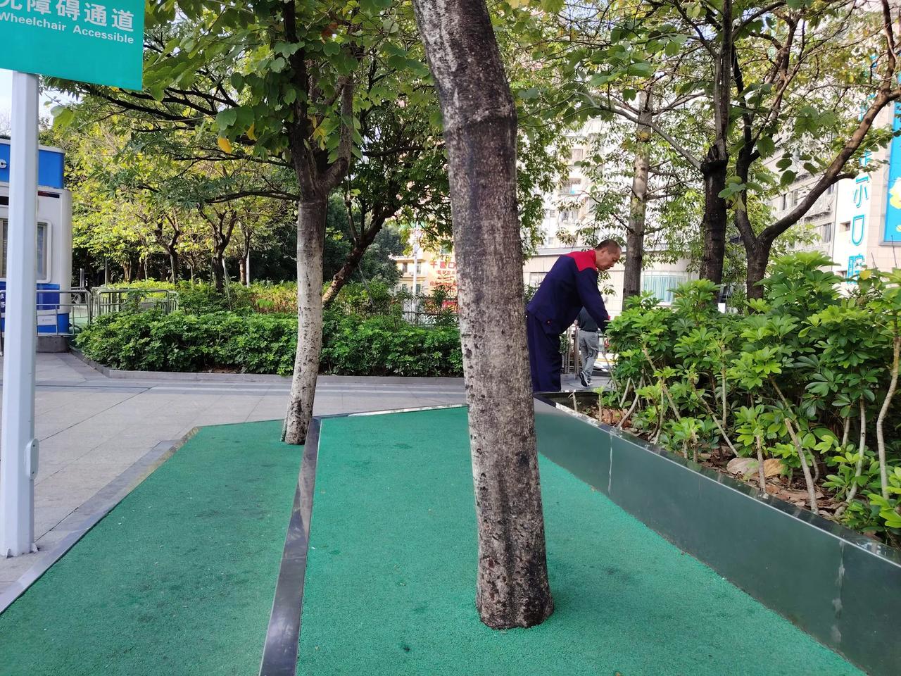 拍照

师傅
麻烦回头给我拍个照

早晨
在广场边坐着

拍照成为了
一种必需