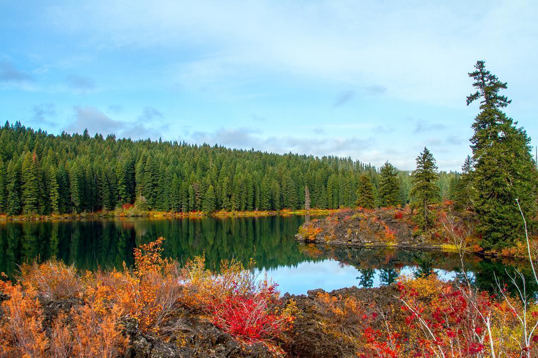 去了趟伊春，真心建议：别随便去伊春，除非你准备好被大自然征服。
去之前我对“林都
