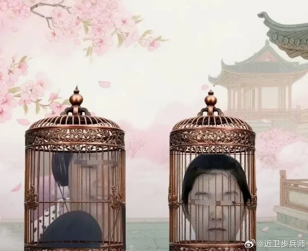 旺仔小乔被禁言想起一句诗词：铜雀春深锁二乔，乔碧萝，旺仔小乔，是个狠人呐[允悲]