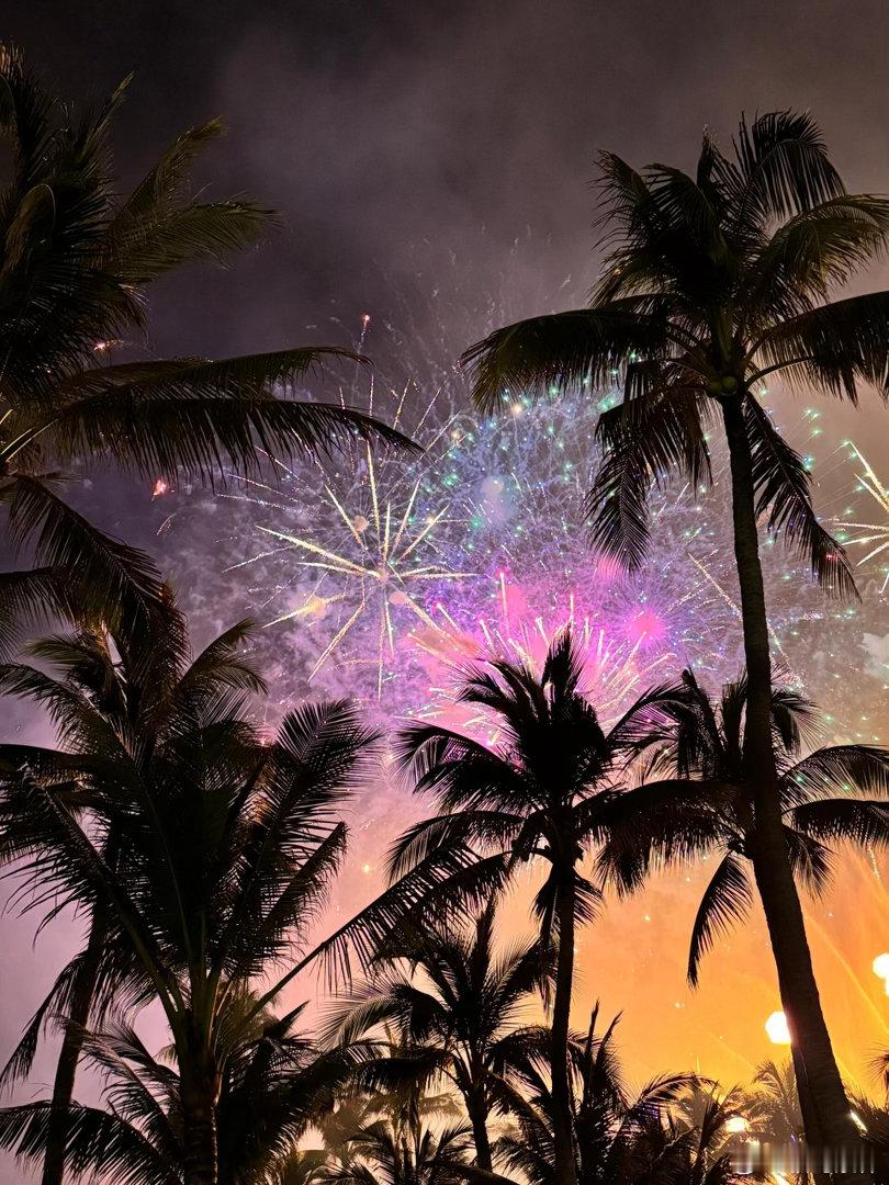 总要有一张完美的烟花照吧大概是人生目前为止最难忘的一次烟花夜晚的海风徐徐椰树的剪