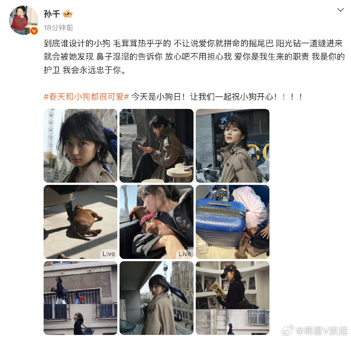 孙千写的小狗文学好有灵气孙千 到底谁设计的小狗 很喜欢看孙千的文字，很有灵气很有