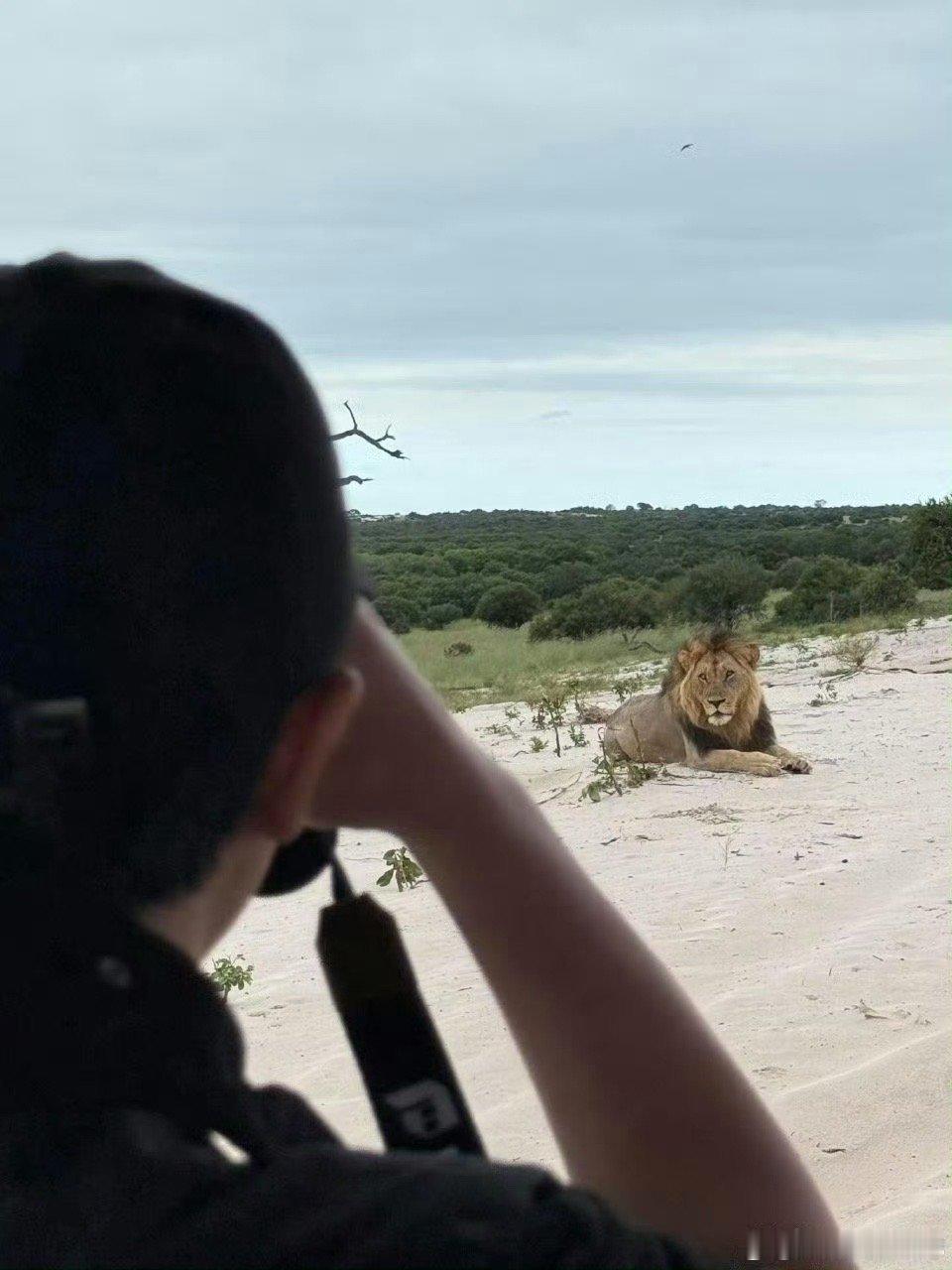 偶遇黄轩与女友在南非旅游 网友在南非偶遇黄轩和女友一起旅游，两人打扮低调又放松，