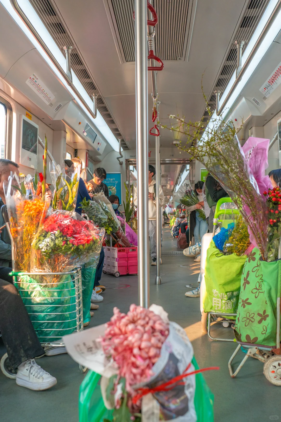 广州鲜花列车，一趟把年味和春天载回家的🚇