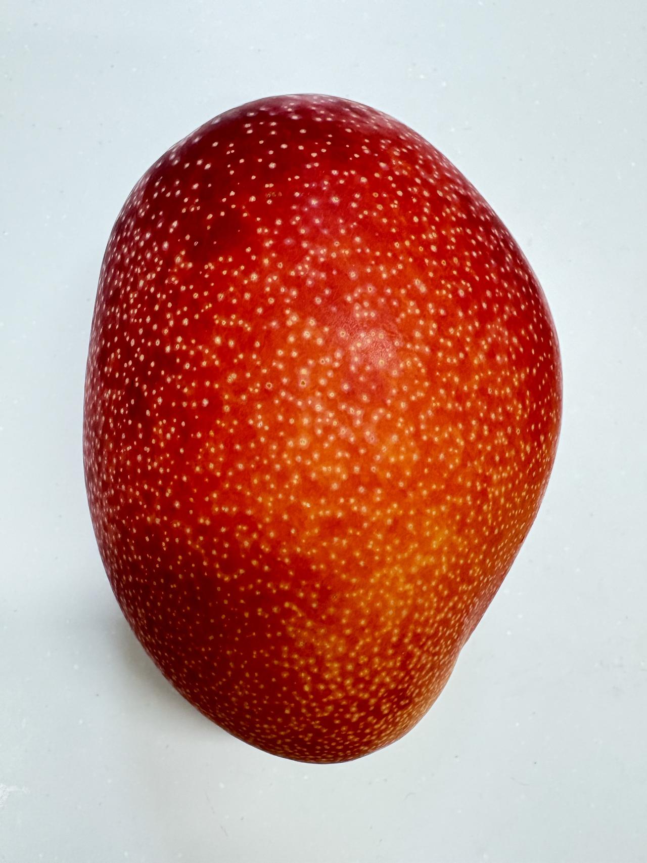 宮崎大号芒果，平时5500円，今天特价3240円😋