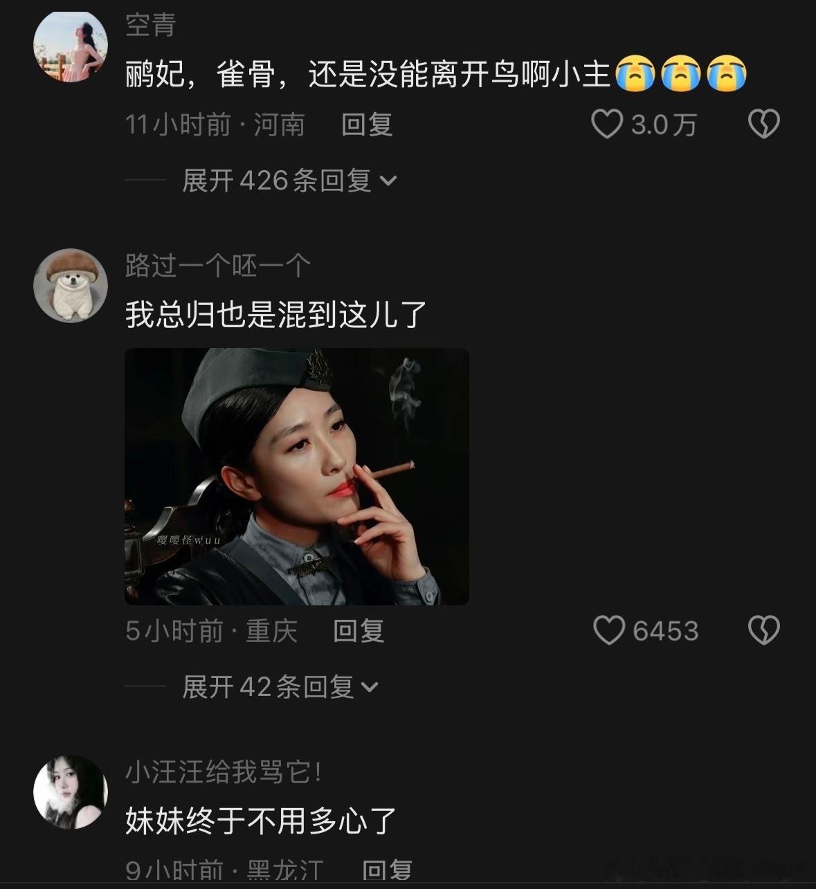 安陵容终于熬成太后了雀骨 看预告片里何太后端坐高位，突然有种角色开启了另一种人生