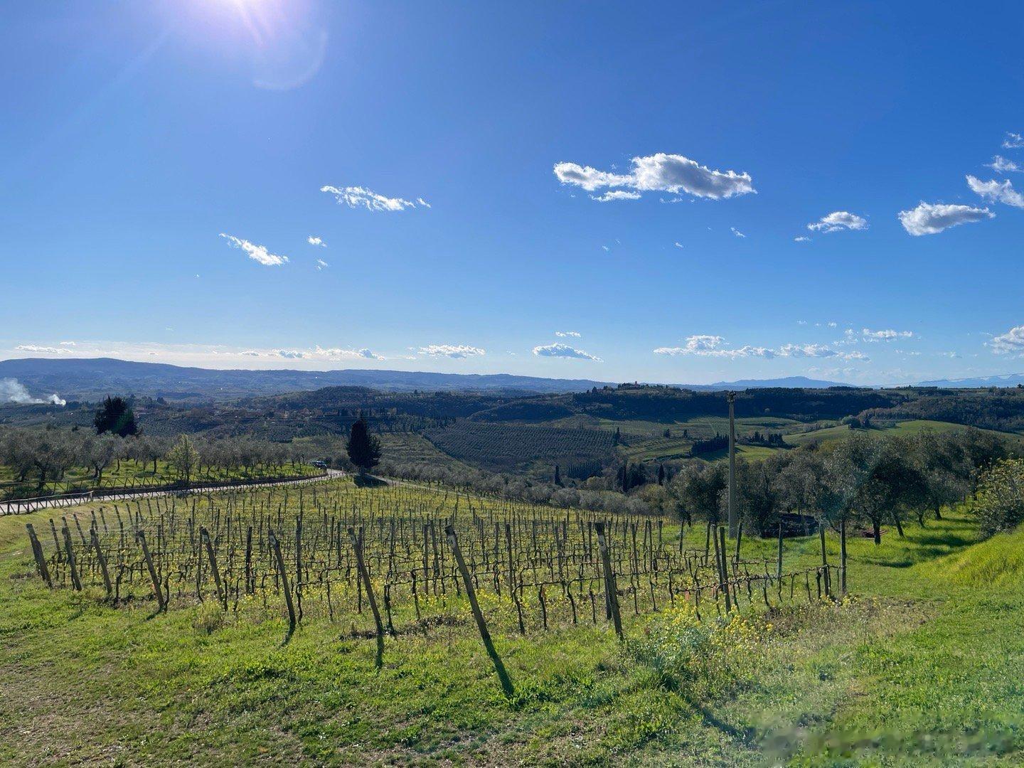 葡萄一口一个吃起来很优雅，过量食用葡萄可能会导致不良反应，这两类人不适宜多吃：1