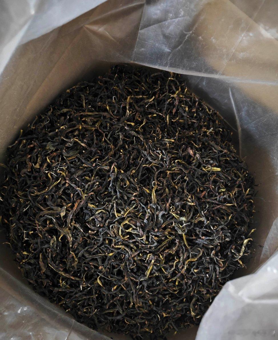 2026年的秋茶鸭屎香，超级香呀，性价比超高！！！ ​​​