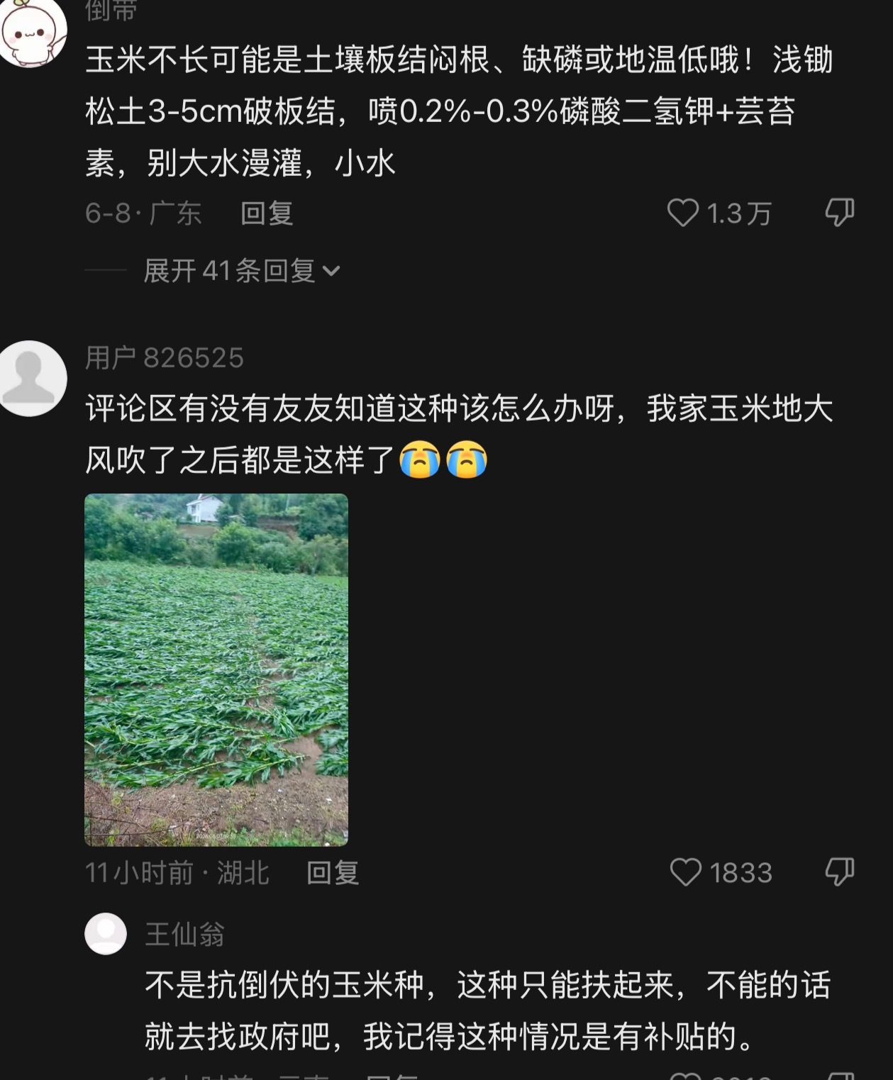 哇呜呜呜看得心软软互联网的意义！语音评论的意义！！ 