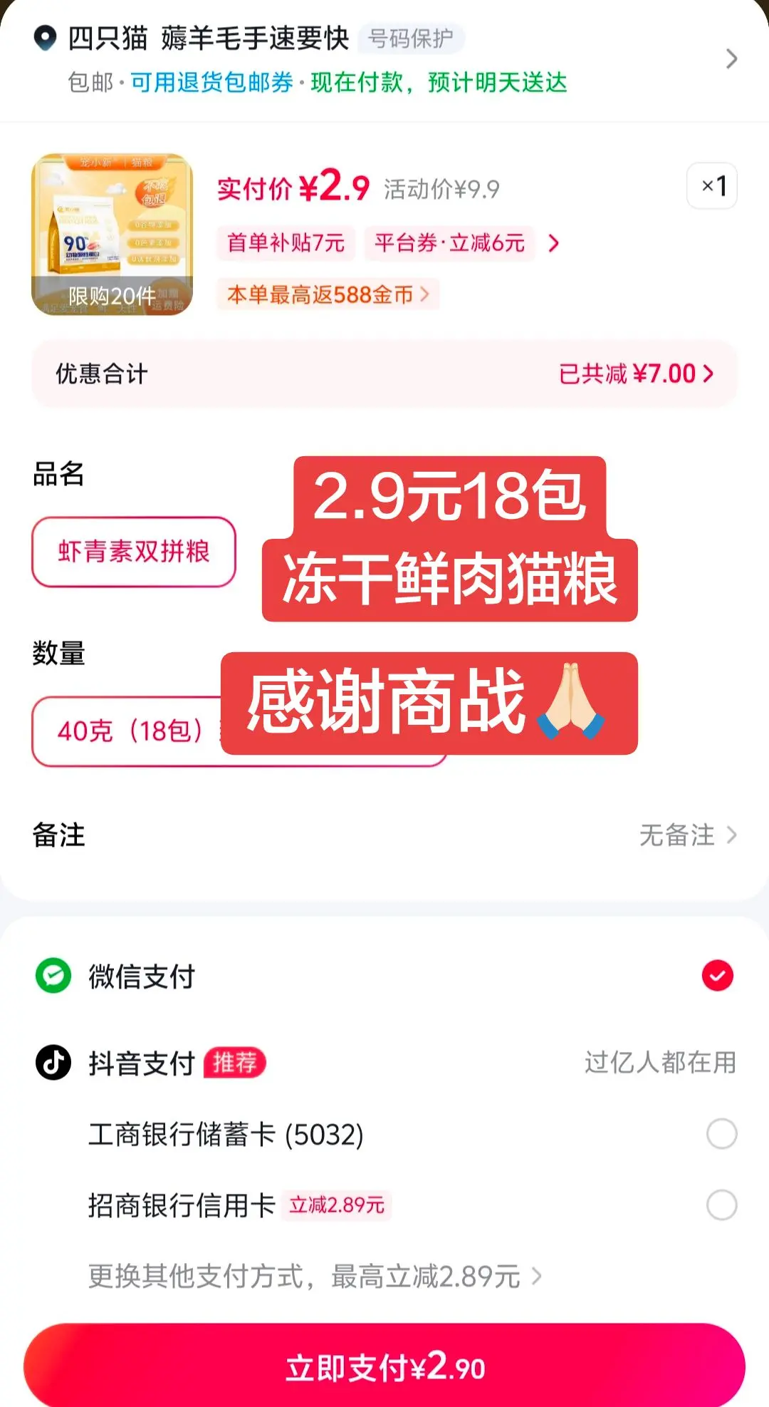 小猫咪这回有福了
