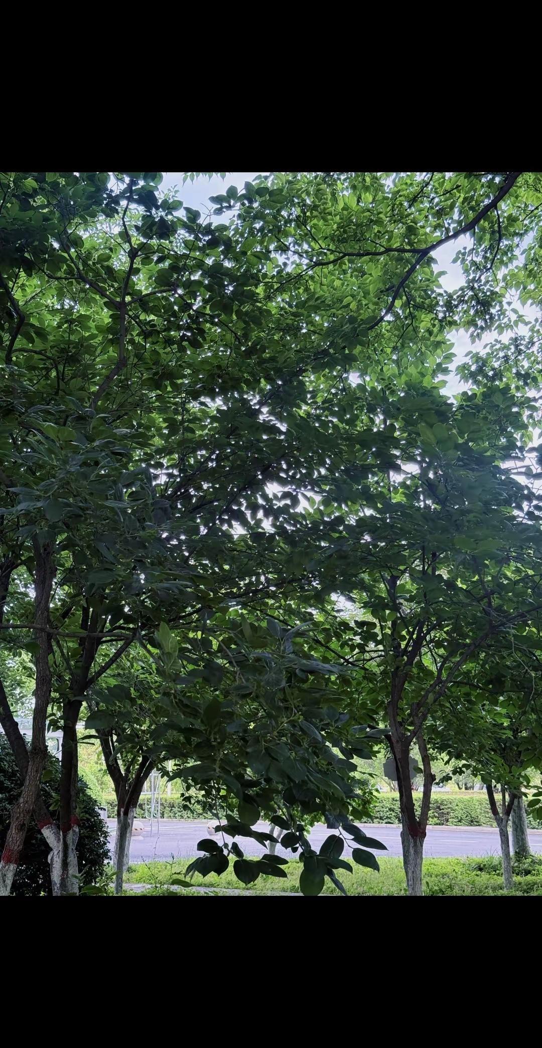 生活不会轻易放过任何一对年轻父母一个要赚钱养家 一个要带娃顾家谁都不敢倒下都在各