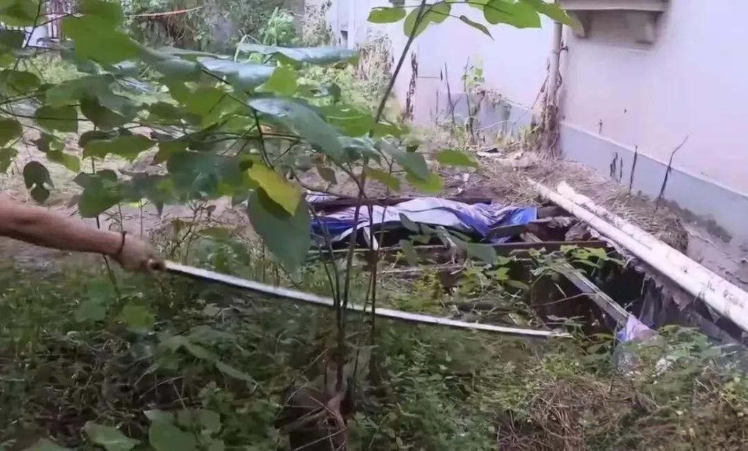 重庆江津区双岛湖御园小区发生一桩悲剧：卢先生下楼捡掉落的鞋子时，踩上看似正常的绿