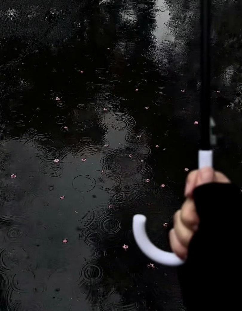 梅雨没结束🔚🦠🌫️，高温来了🥵，然后还要防台风[淡淡的]，这一阵阵的雷雨