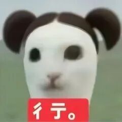丰富一下你的表情包 