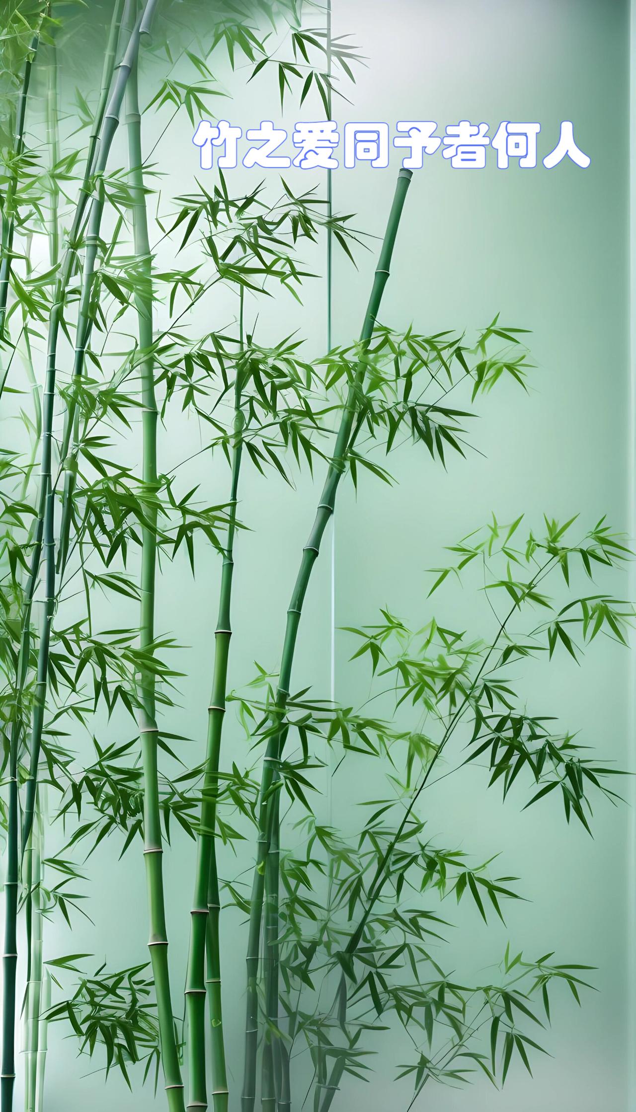 你能否留下一句充满希望的话纵使前路漫漫，世事起落无常，请保持心底温柔与期许，步履