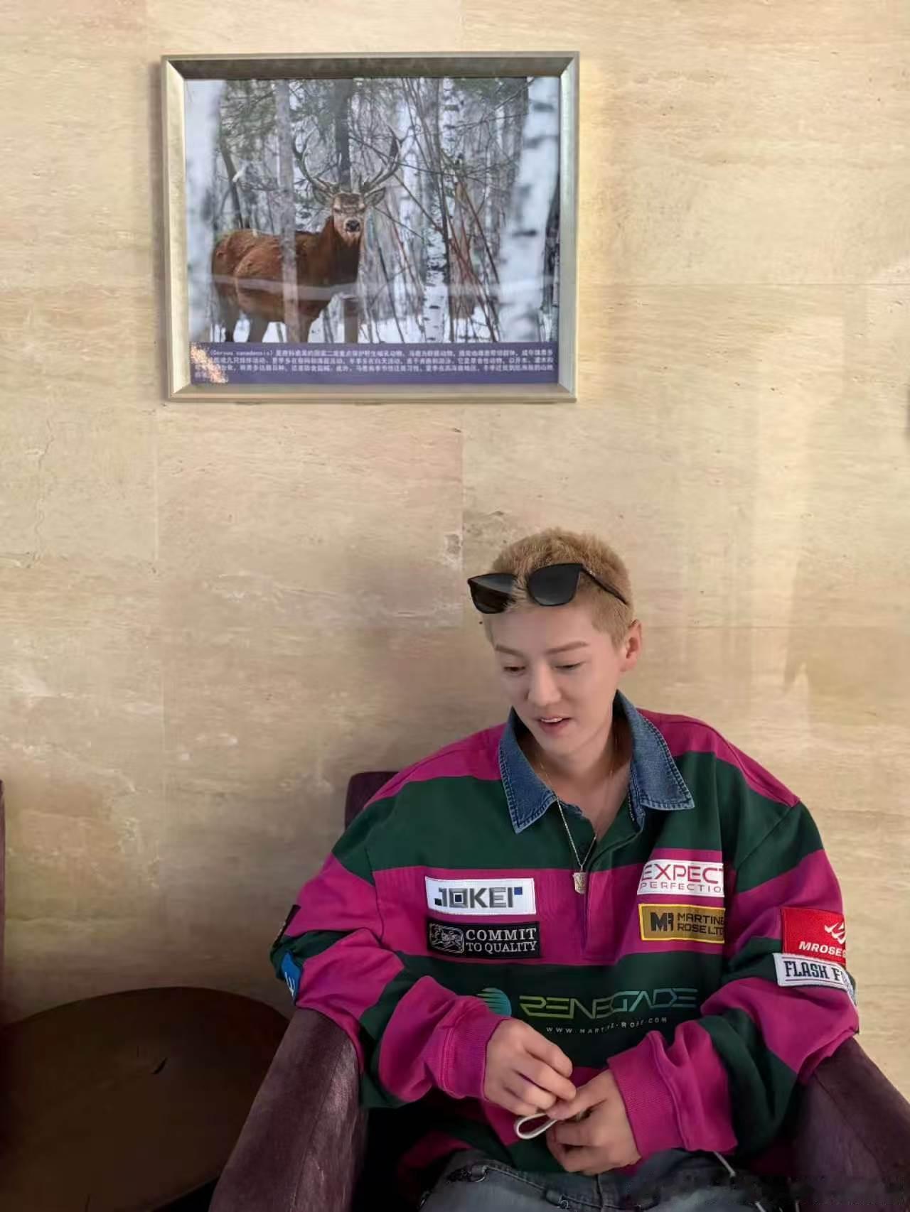 鹿晗五哈生日惊喜策划清单五哈为鹿晗准备的生日策划看得出来团队相处十分和睦，借着生