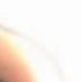 阿夏夏养猫准则 0000谁的人生不是荆棘前行，你跌倒的时候，懊恼的时候，品尝眼泪