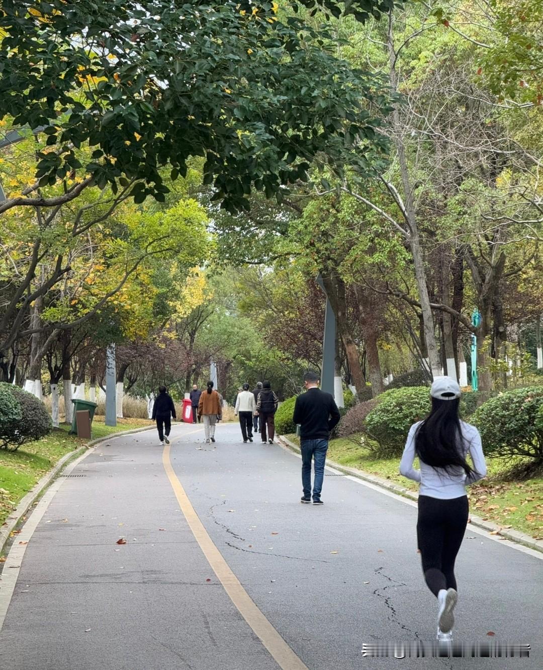 说真的，我第一反应是拍大腿：这不就是咱普通人的日子吗？以前上班赶地铁总磨磨蹭蹭，