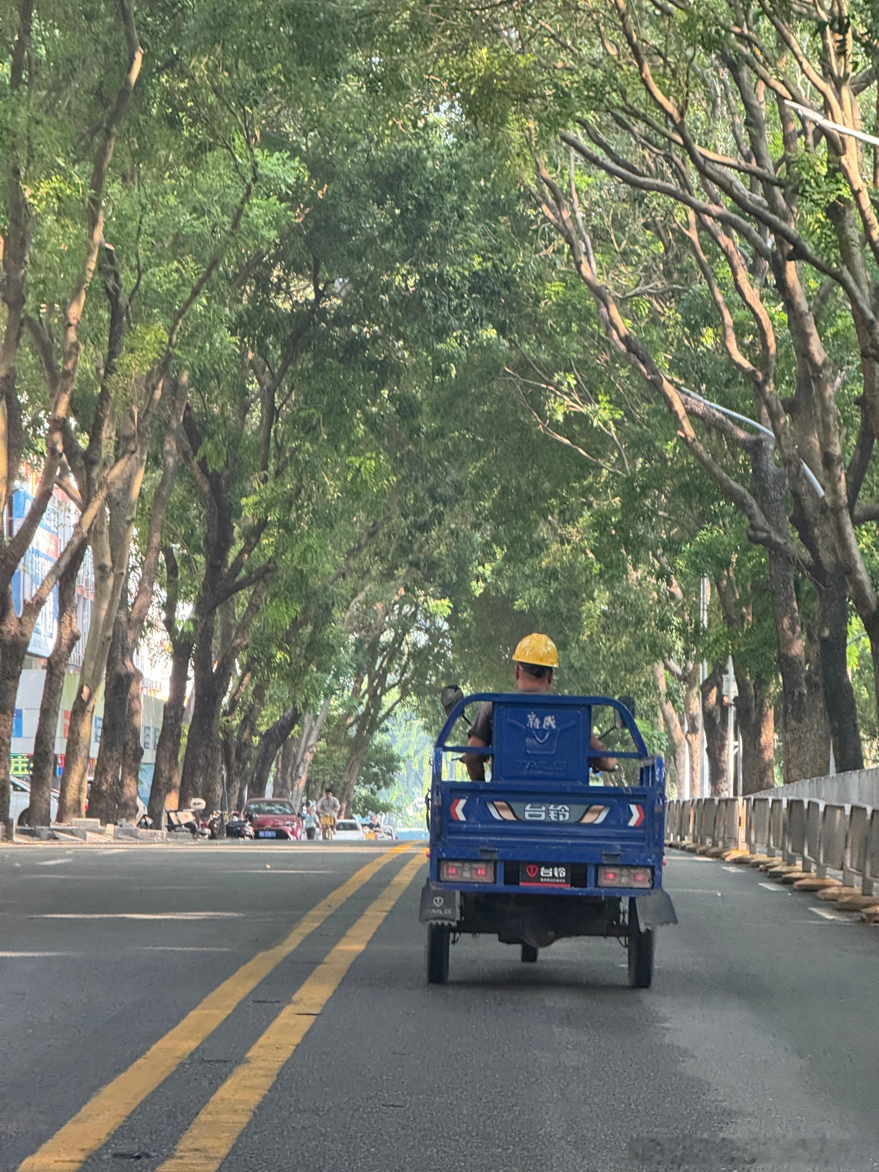 早晨，深圳深圳[超话] ​​​