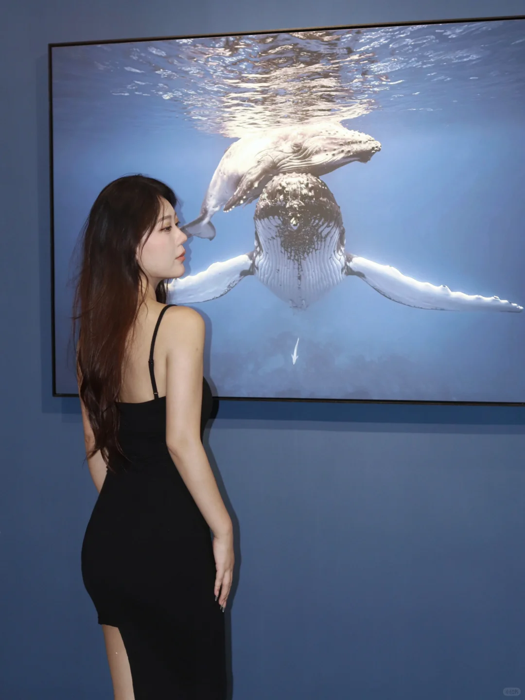 周末看展｜沉浸式感受中国国家地理的魅力