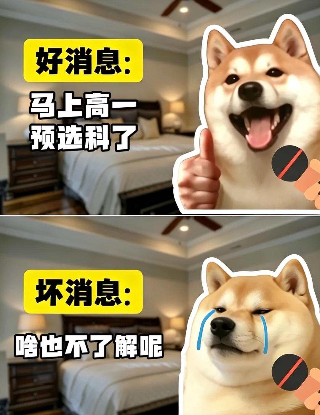 柳州高一预选科，你准备好了吗？
✅好消息：马上高一预选科
❌坏消息：啥也不了解呢