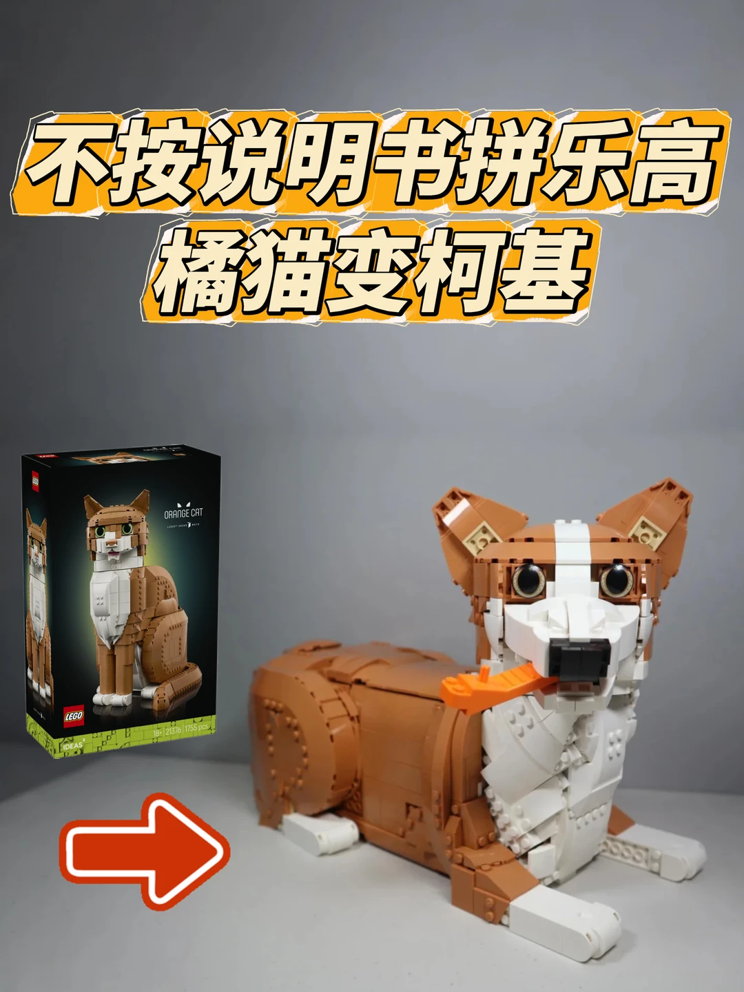 不按说明书拼乐高，橘猫变柯基😍