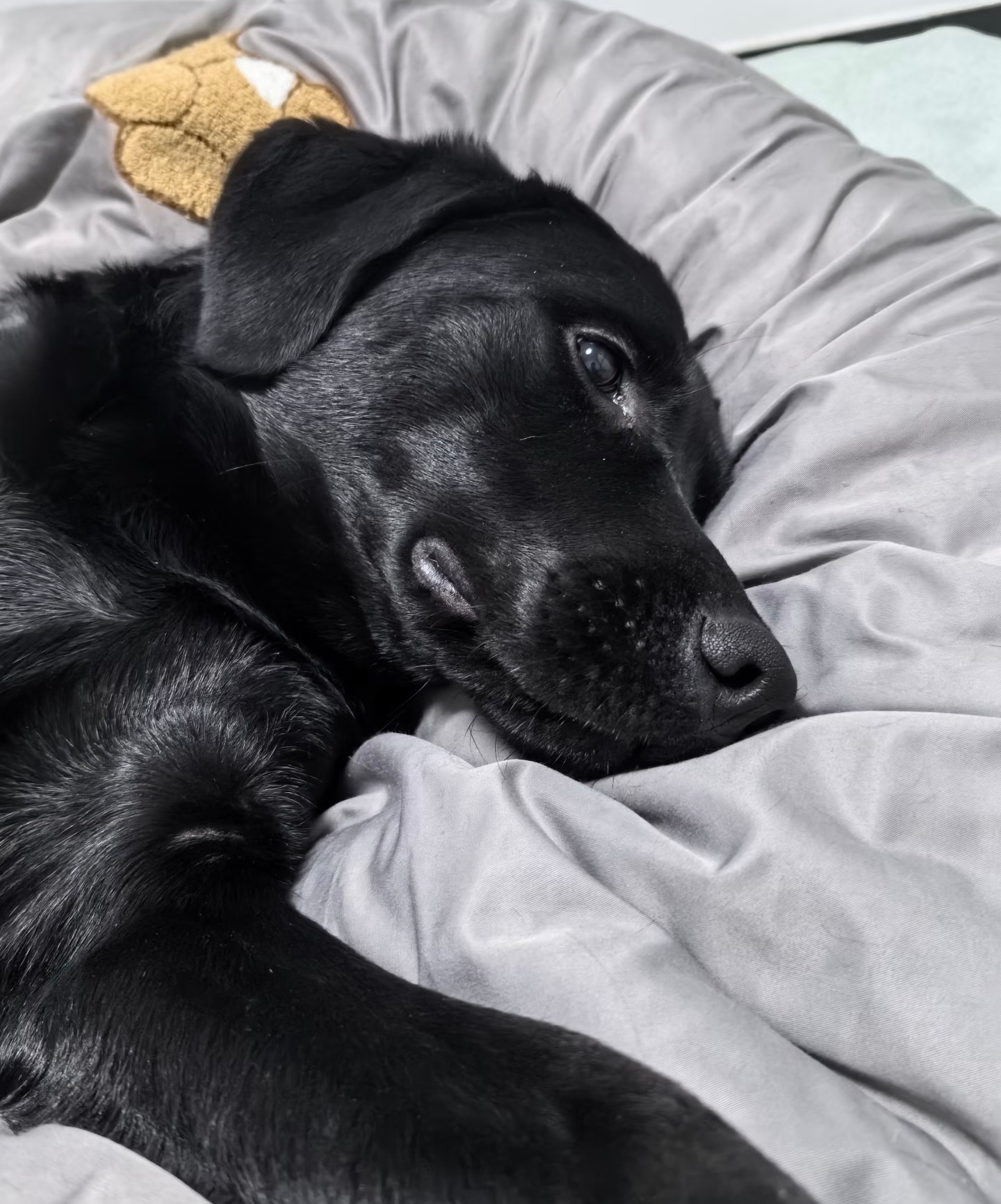 碎啦晚安💤发张自拍🤳祝大家好梦 