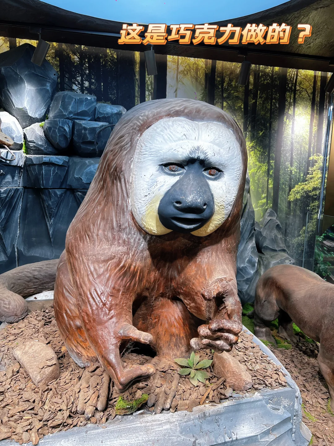 夫子庙巧克力博物馆：一场甜到犯规视觉盛宴