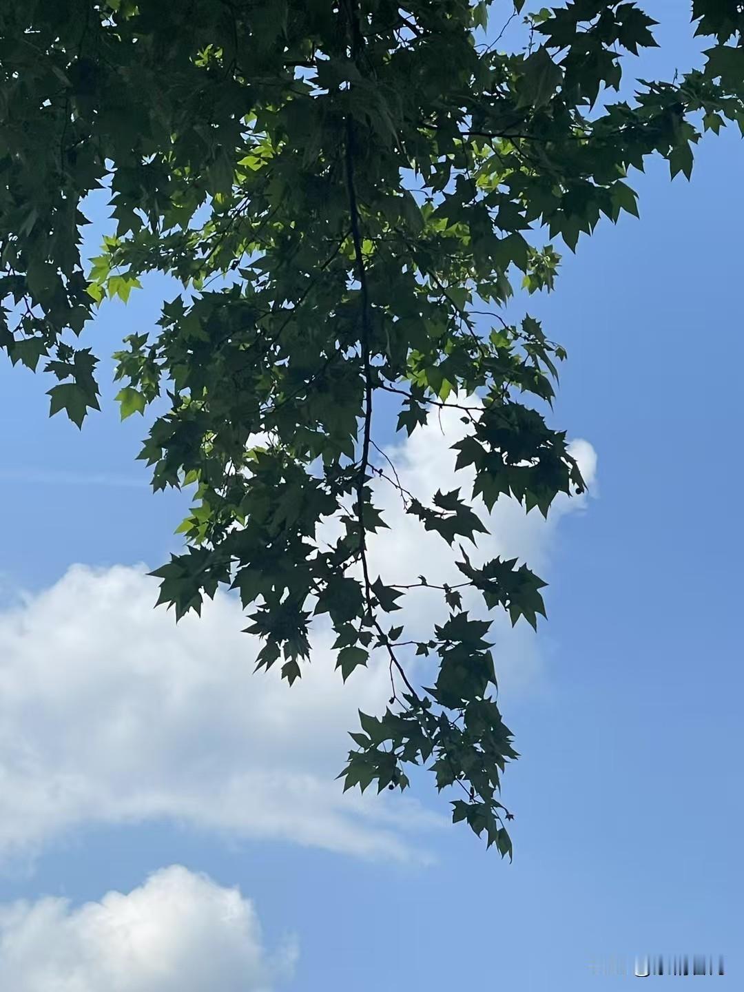 冬日生活随拍实拍