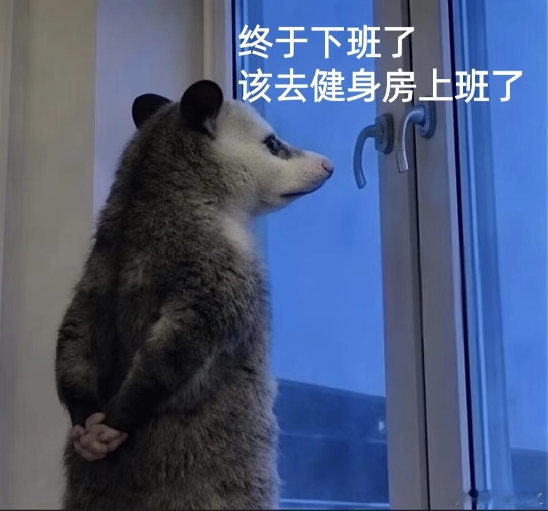 年轻人真的把多运动听进去了我也发现了！！！现在一问我朋友在哪，不是健身房就是游泳