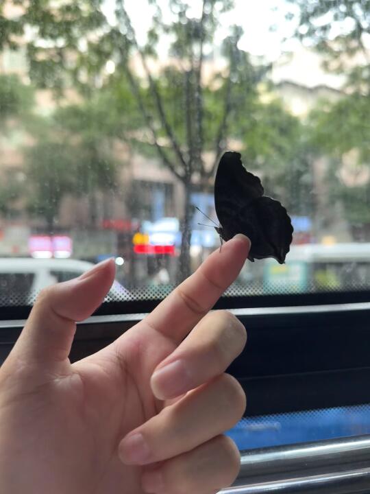 我太想把这一刻的感动分享给你了