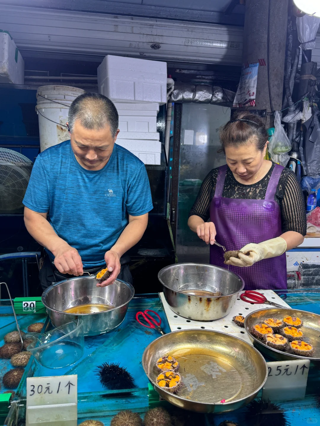 我来大连只干一件事！！