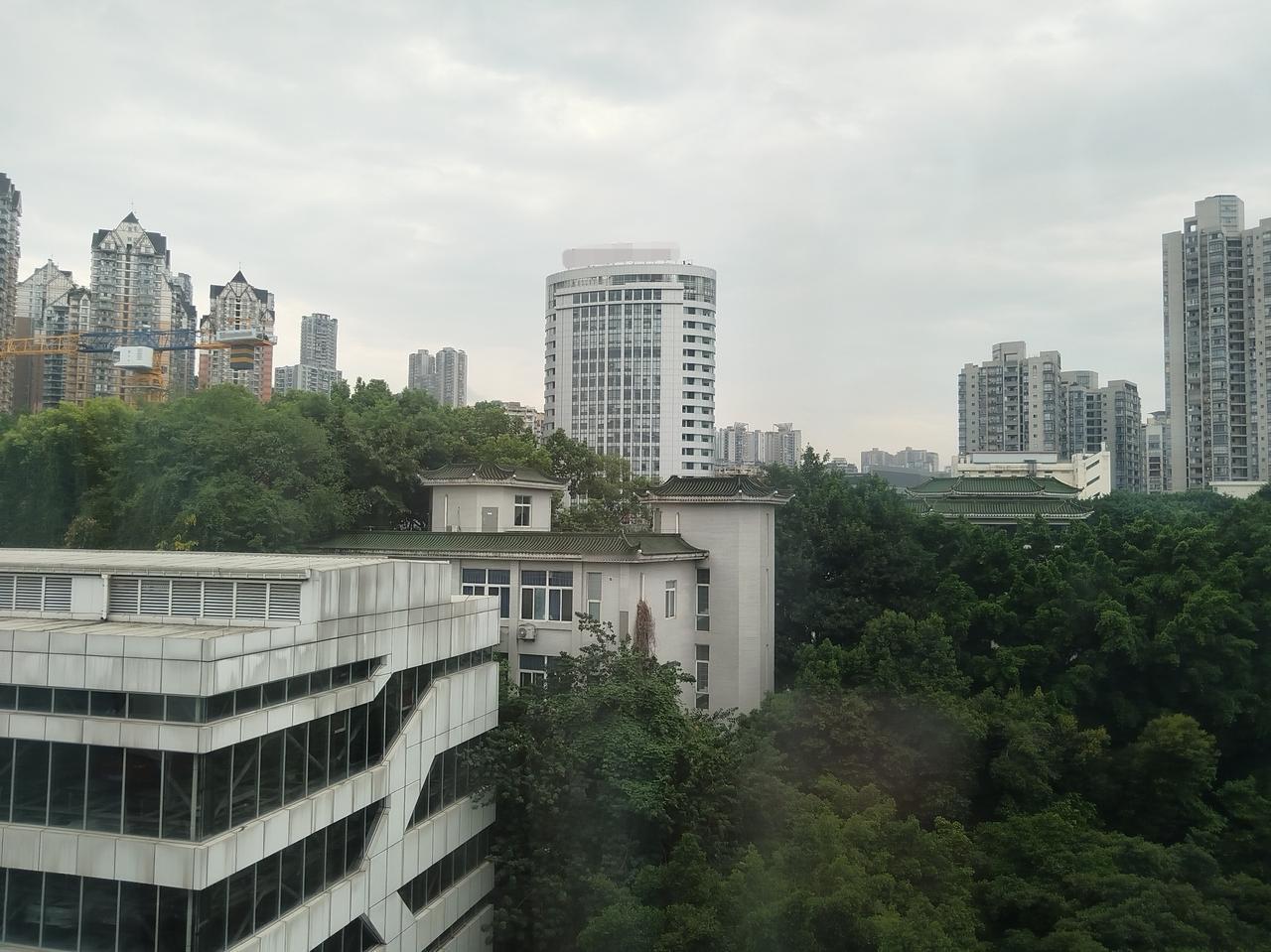 李文全随拍：城中森林，喧嚣的一把扳手