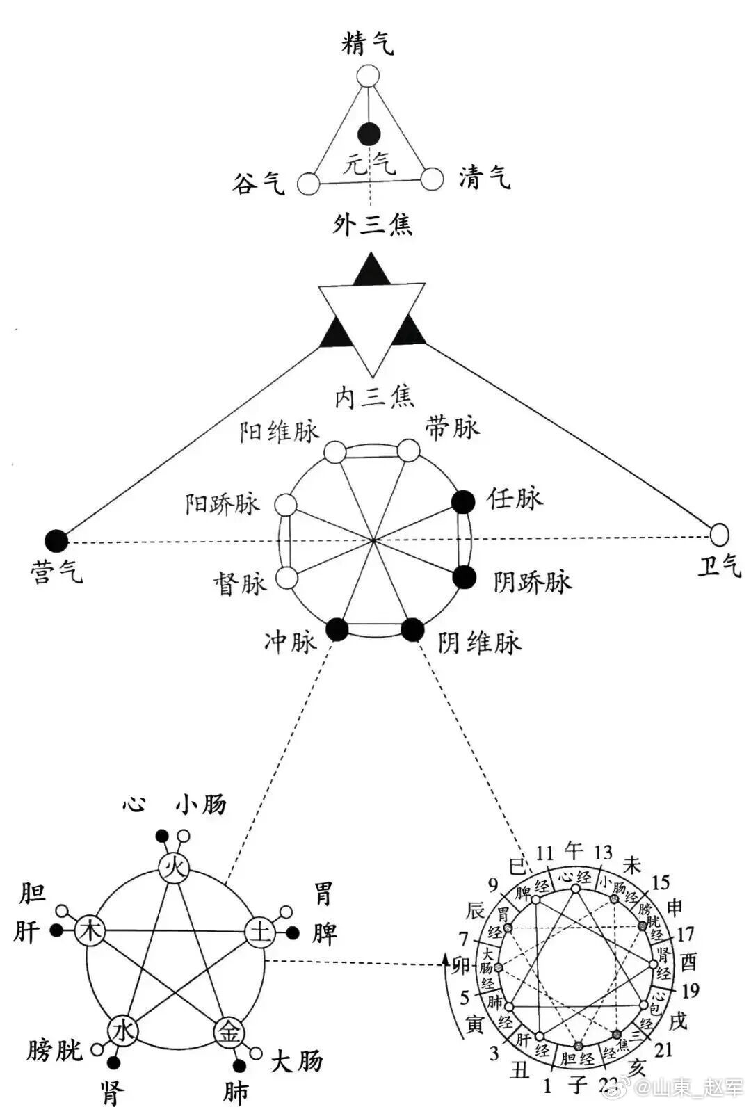 中医生命能量观浮生一理气流通，摄取输泄自始终。谷水化为元津液，升降散敛判穷通。过