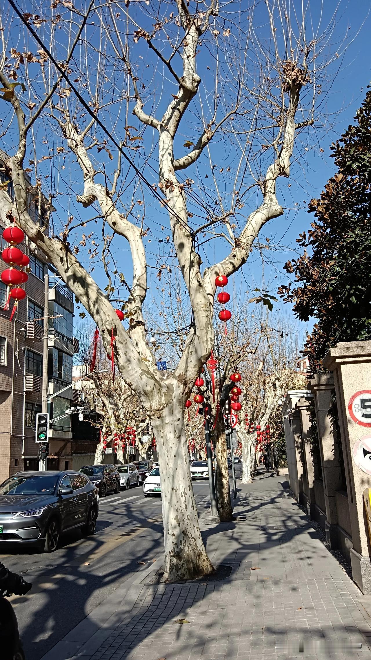 福报不是挣来的，而是修来的。
根基越浅，悟性越差的人，越在物质钱财的漩涡里挣扎，