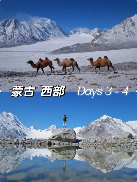 不爬山，躺平在帐篷里看雪景的好地方 🏔