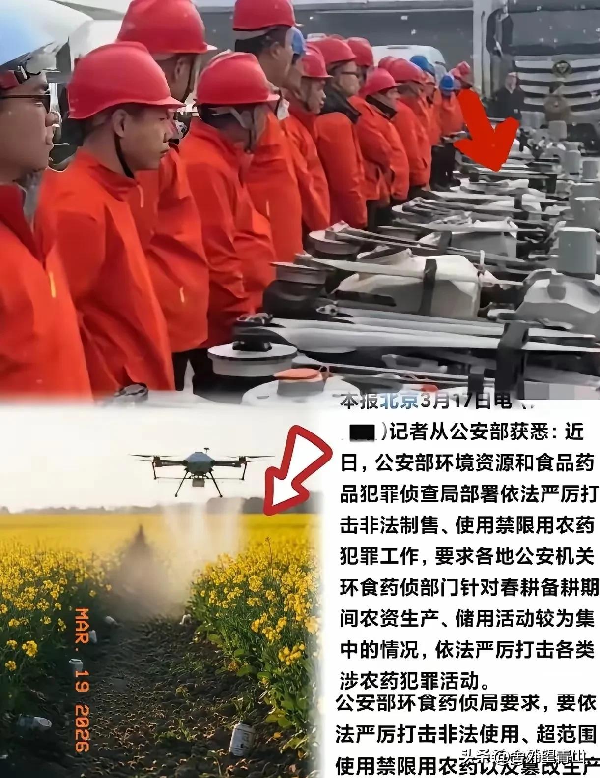 这次严查真是大快人心！有些人穿着红工服，操控无人机，专挑油菜花盛开的时候乱喷农药