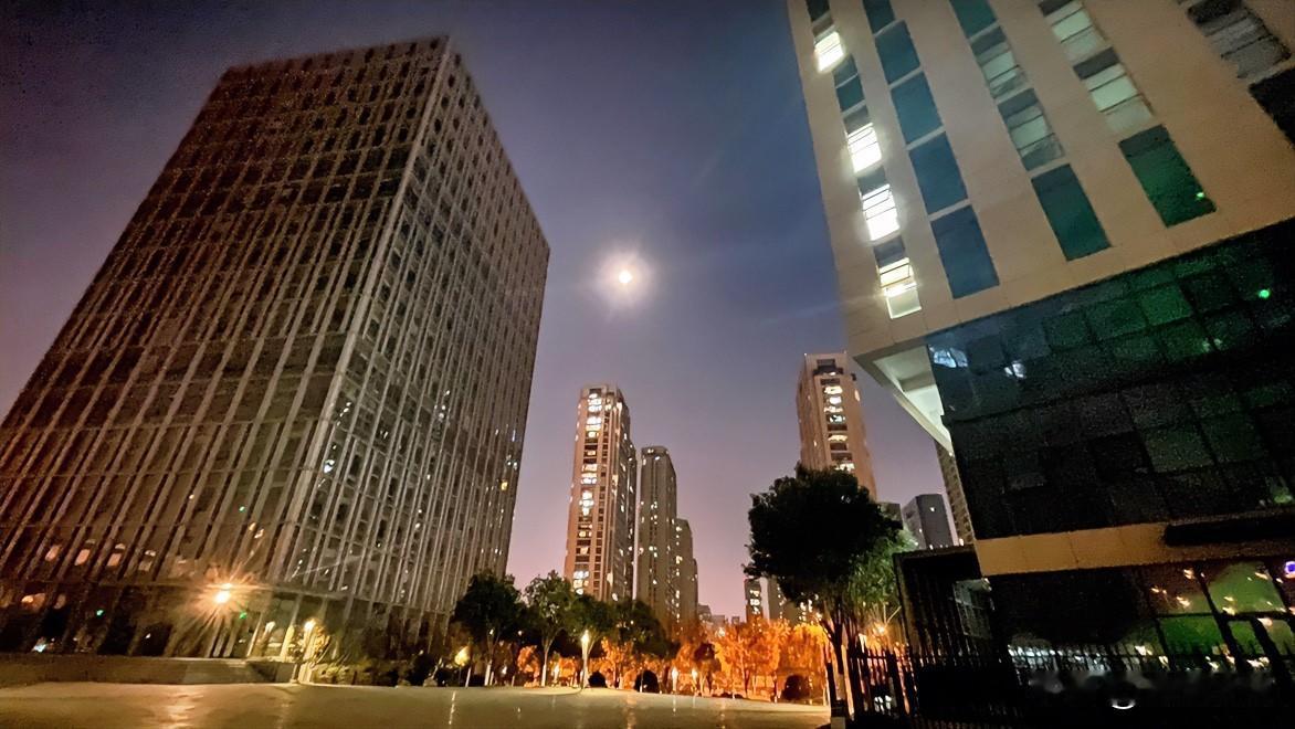 冬日生活打卡季冬日明月