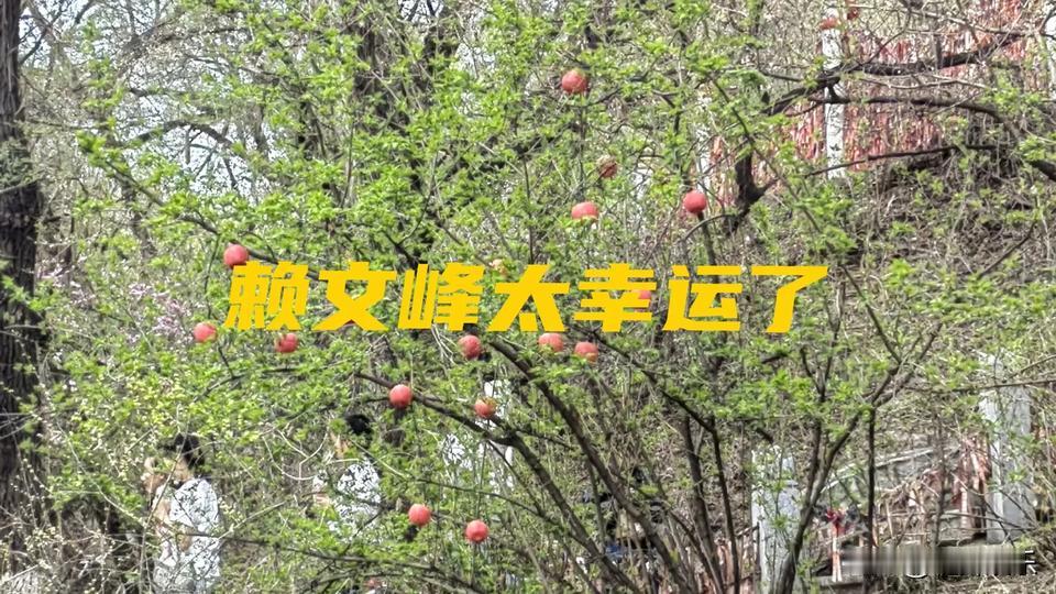 赖文峰真是太幸运了！
赖文峰真是幸运儿，
虽然因远华事件入狱十年，
但现在仍然过