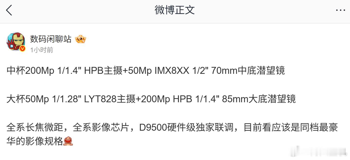 这说的应该是蓝厂X300系列，这一代没有Pro mini，直接X300就是小屏旗