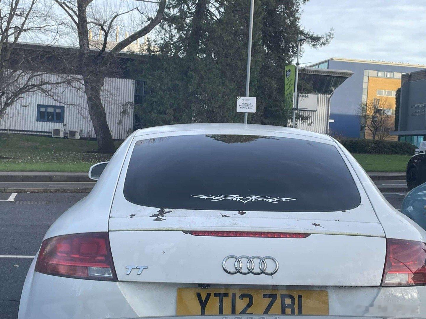 在群里看到的，有着奇怪“纹身”的TT…… 