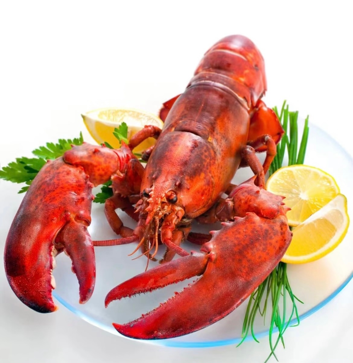 何同学的虾会用3D打印机原来不是真的虾啊，看到标题一下让我嘴馋了。Arkclaw