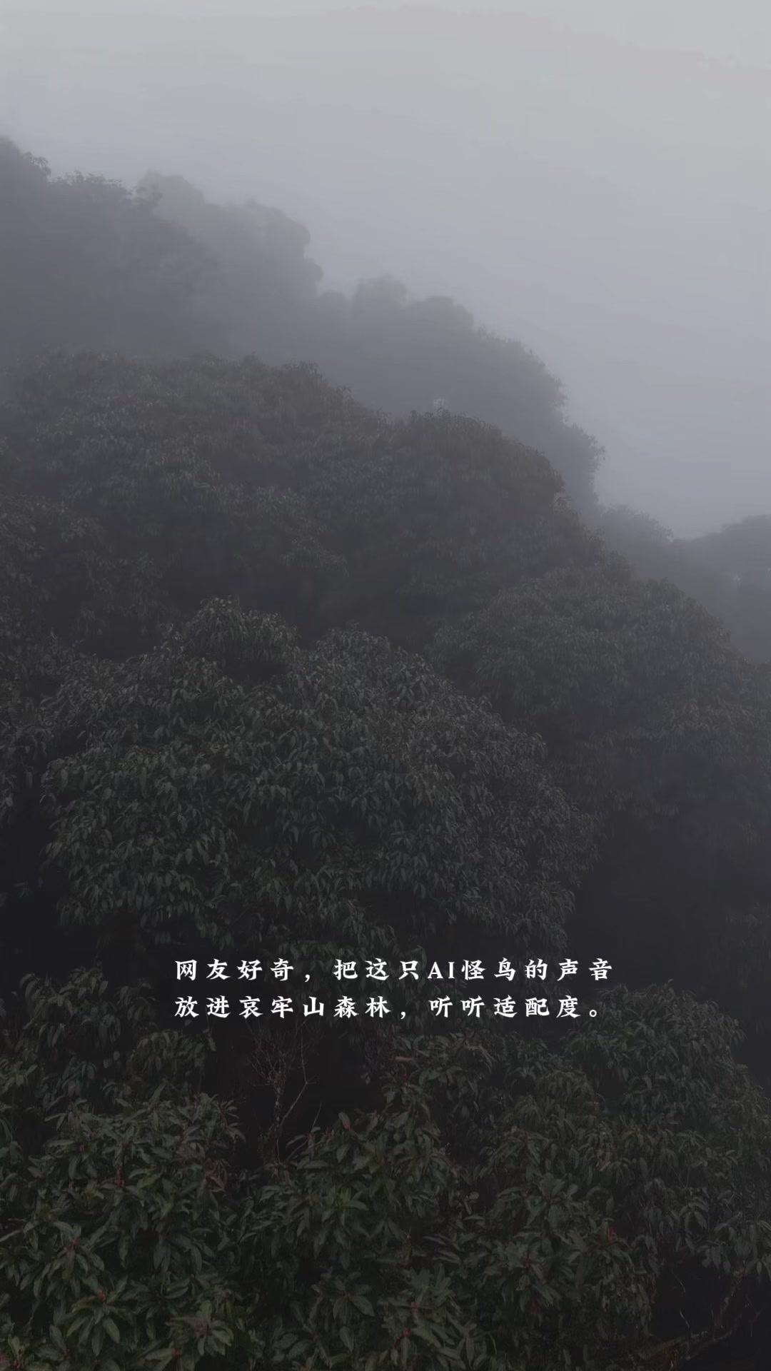 跟着网友的脑洞尝试，把AI创作的不存在怪鸟的声音放到哀牢山森林里，沉浸式体验了一